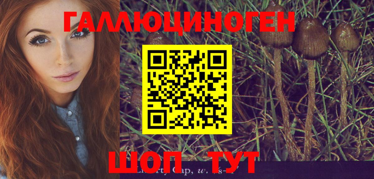 Галлюциногенные грибы Psilocybine cubensis  Вход с VPN  Псилоцибиновые грибы GOLDEN TEACHER  Дмитров 