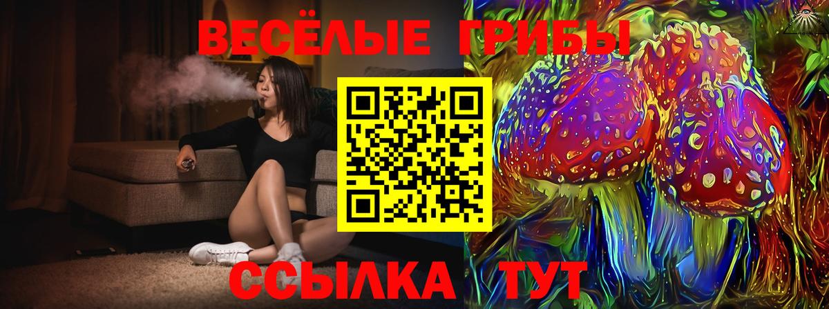 Галлюциногенные грибы мухоморы Дмитров
